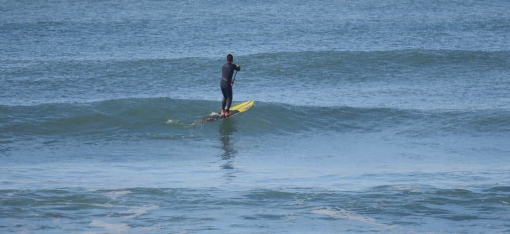 El Gran Miércoles. WASP Surfboards