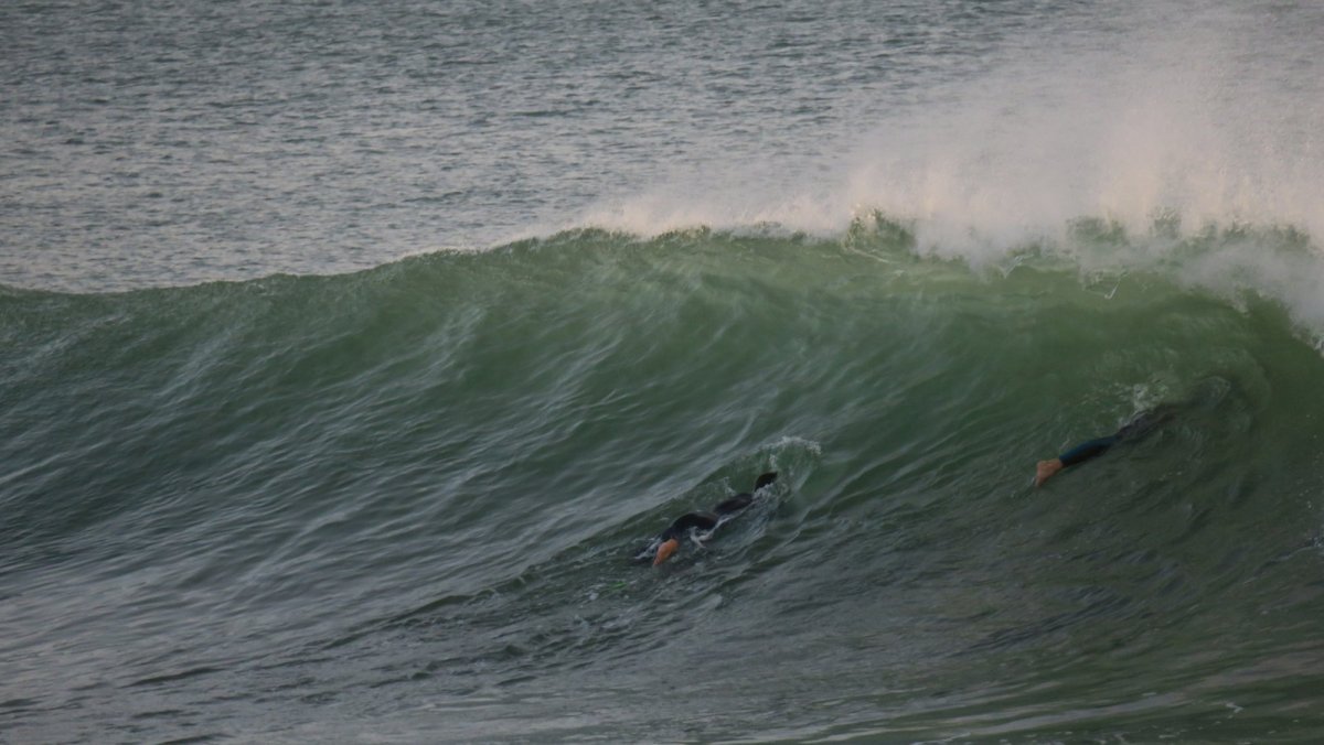 Nueva REALIDAD, misma NECESIDAD